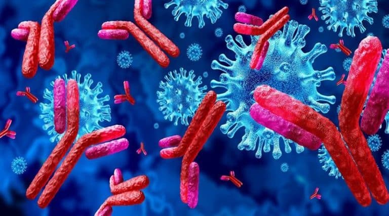 Immunology For Natural PANDAS Treatment
